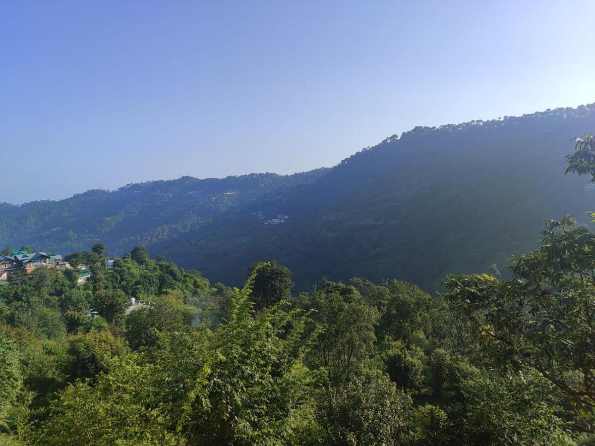 Idyllic Private Cottage W/King Bed + Mountain View Kasauli Exterior photo
