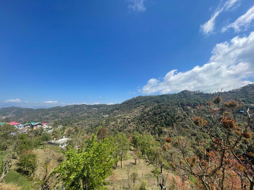 Idyllic Private Cottage W/King Bed + Mountain View Kasauli Exterior photo