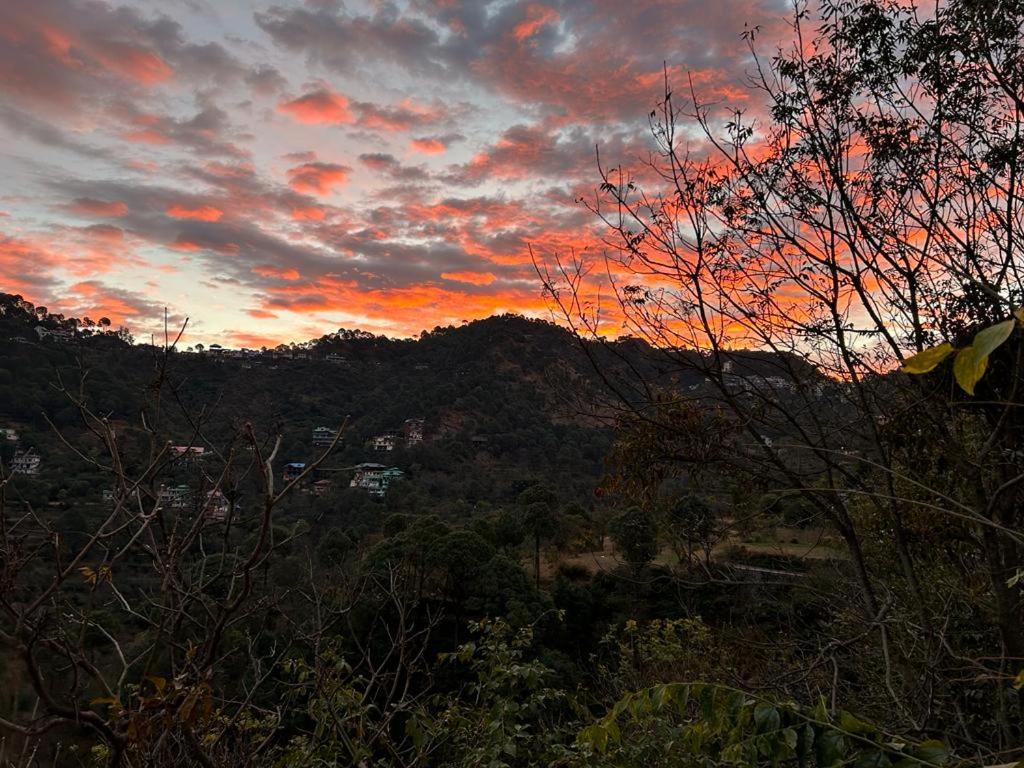Idyllic Private Cottage W/King Bed + Mountain View Kasauli Exterior photo