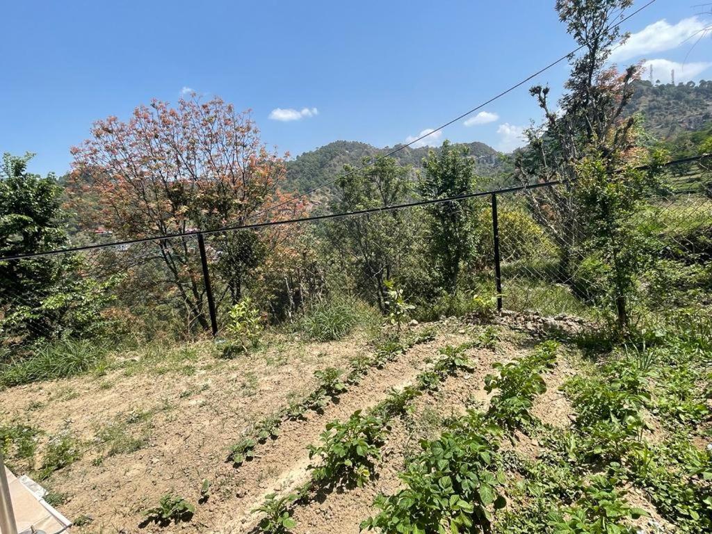 Idyllic Private Cottage W/King Bed + Mountain View Kasauli Exterior photo