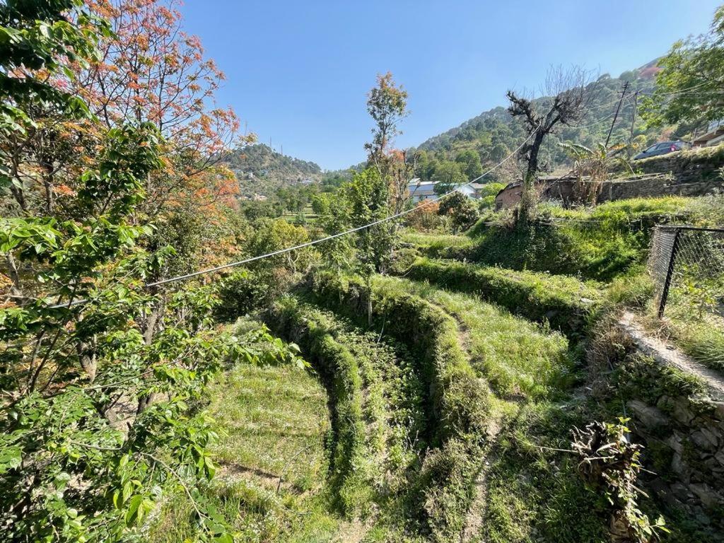 Idyllic Private Cottage W/King Bed + Mountain View Kasauli Exterior photo